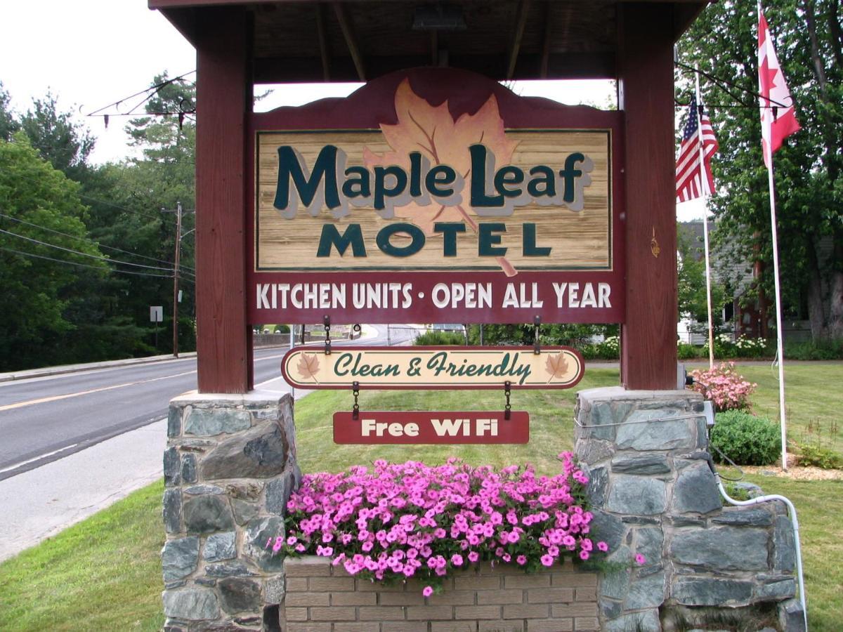 Maple Leaf Motel Littleton Zewnętrze zdjęcie